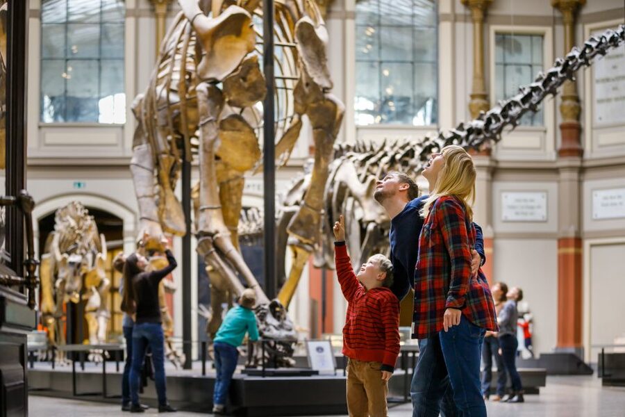 Berlin: Natural History Museum Entrance Ticket - Key things to know before you go