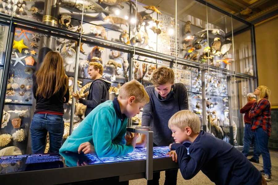 Berlin: Natural History Museum Entrance Ticket - Lines, entry, and the ticket tech you should be ready for