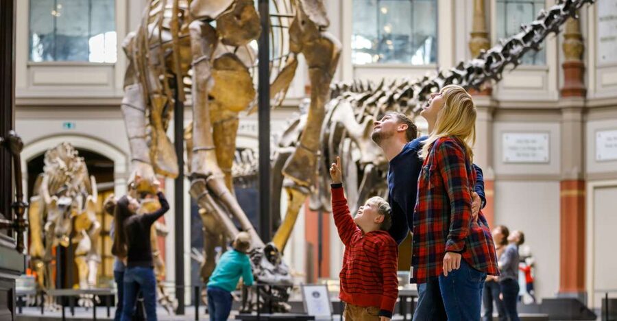 Berlin: Natural History Museum Entrance Ticket - Where to start: the Dinosaur Hall and the scale shock