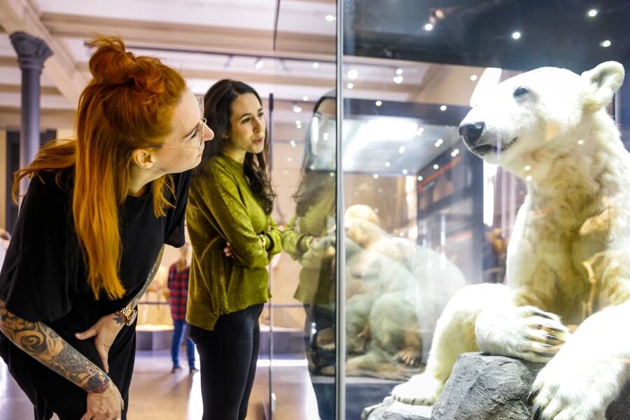 Berlin: Natural History Museum Entrance Ticket - Timing: how to fit it into 30 minutes to 1 hour