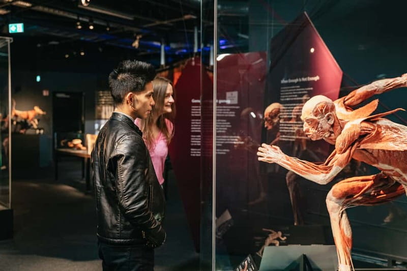 Berlin: Tickets for the BODY WORLDS Museum in Berlin - What You’ll See: From Whole Plastinates to Single-Organ Views