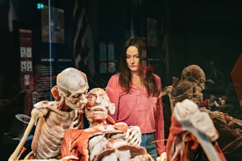 Berlin: Tickets for the BODY WORLDS Museum in Berlin - Digestive, Heart, Lungs, and Nervous System: Anatomy With Real-World Meaning