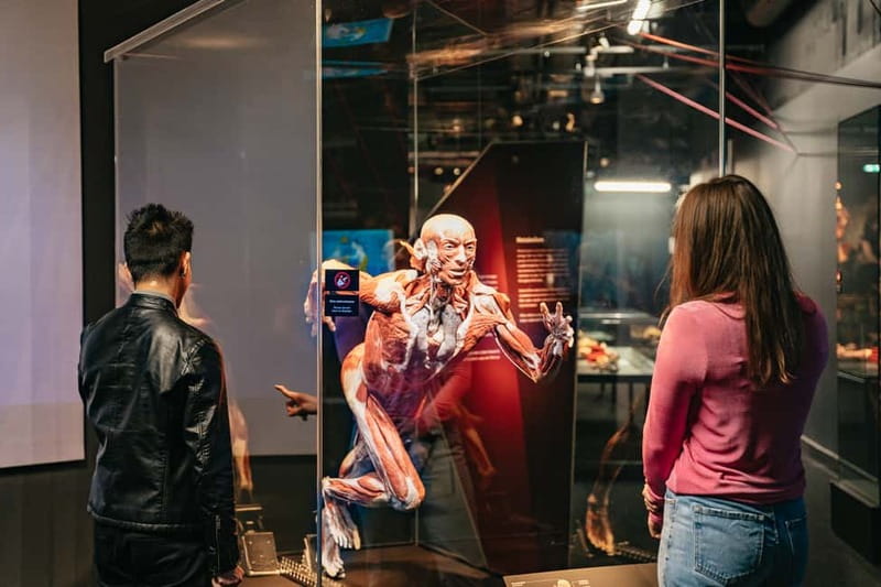 Berlin: Tickets for the BODY WORLDS Museum in Berlin - Diseases and Organ Functions: How the Exhibits Explain the Hard Stuff