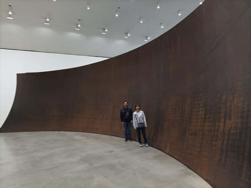 Bilbao: Guggenheim Museum Tour with Skip-the-Line Tickets - Accessibility and Practical Comfort: Plan Around a Real Museum Visit