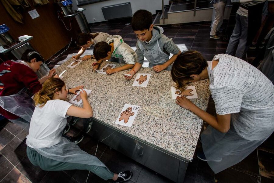 Bruges: Chocolate Making Workshop and Chocolate Museum Entry - Key things to know before you go