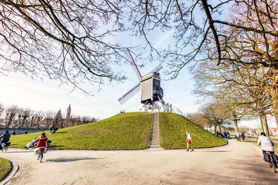 Bruges: Musea Brugge Card with Entry to 11 Museums - Key things I’d plan around