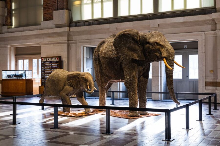 Brussels: Train World Museum Entrance Ticket - Parking, Foot Traffic, and a Couple of Practical Comfort Tips