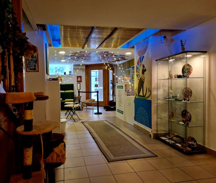 Budapest: Cat Museum Budapest Entry Ticket - Photo walls, a selfie stand, and props that don’t feel forced