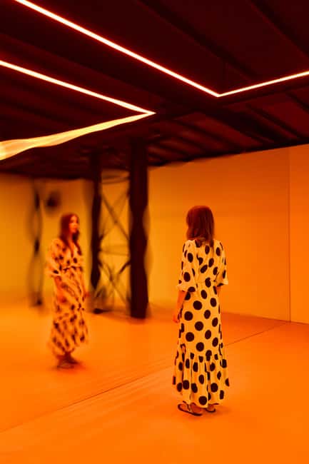 Budapest: Light Art Museum - Immersive New Media Experience - Crowd Levels, Closed Rooms, and When Timing Helps