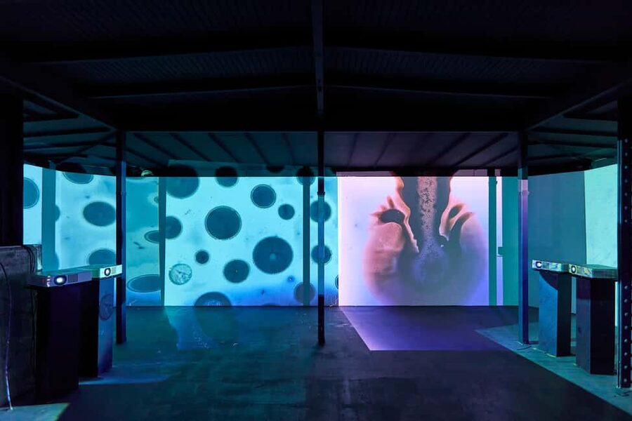 Budapest: Light Art Museum Skip-the-Line Entry Ticket - Is It Kid-Friendly? The Over-18 Section Matters