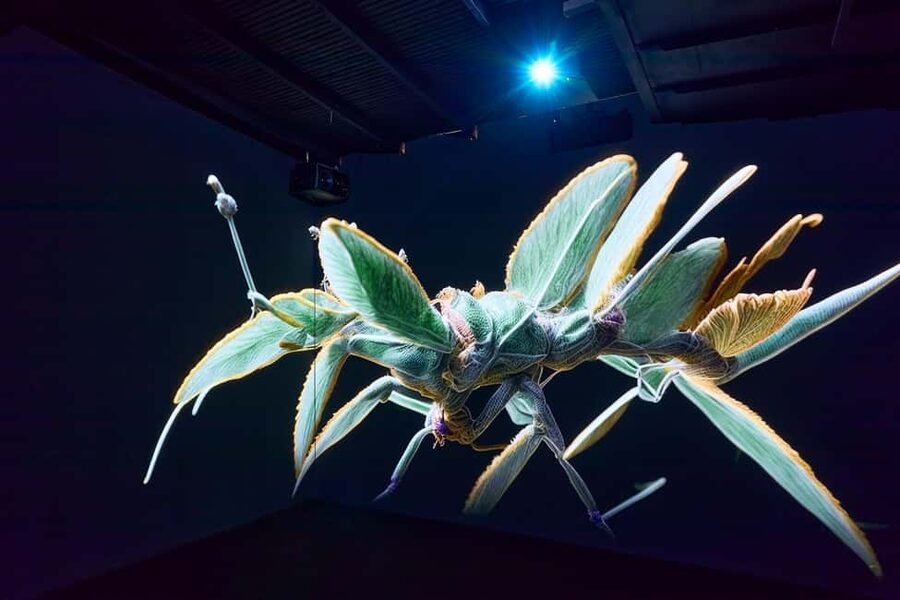 Budapest: Light Art Museum Skip-the-Line Entry Ticket - How Long Should You Plan? Keep Expectations Tight