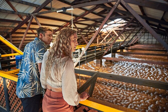 Bundaberg Rum Behind The Scenes Distillery Tour And Museum Experience - Why this Bundaberg Rum tour feels different from a typical factory stop