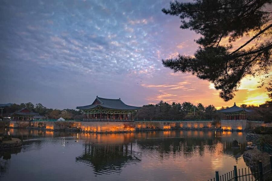 Busan: Gyeongju UNESCO Legacy Tour with National Museum - Why Gyeongju Works So Well on a Busan Day Trip