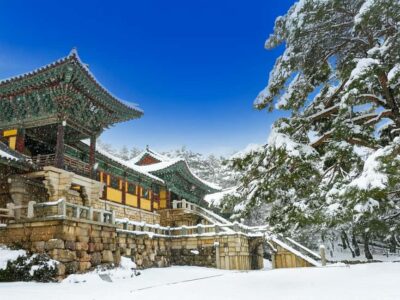 Busan: Gyeongju UNESCO Legacy Tour with National Museum - Pickup Timing, Route Flow, and What 12 Hours Really Means