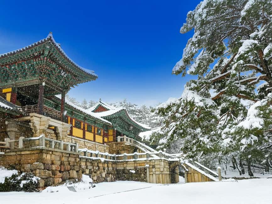 Busan: Gyeongju UNESCO Legacy Tour with National Museum - Pickup Timing, Route Flow, and What 12 Hours Really Means