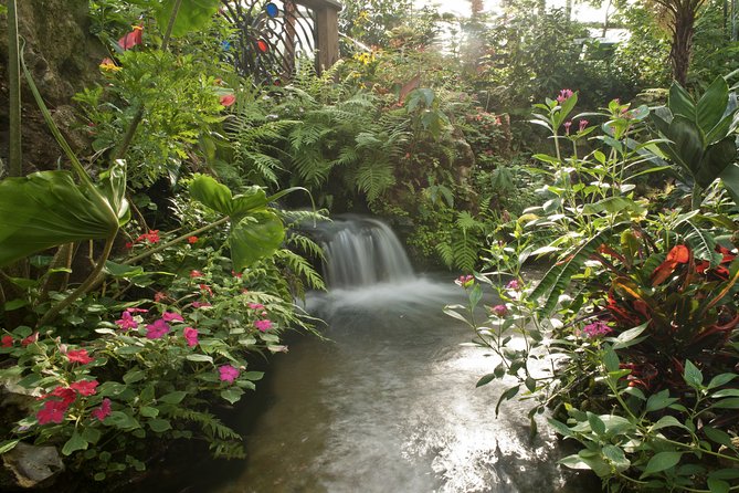 Butterfly Rainforest at Florida Museum of Natural History Ticket - Who This Is Best For
