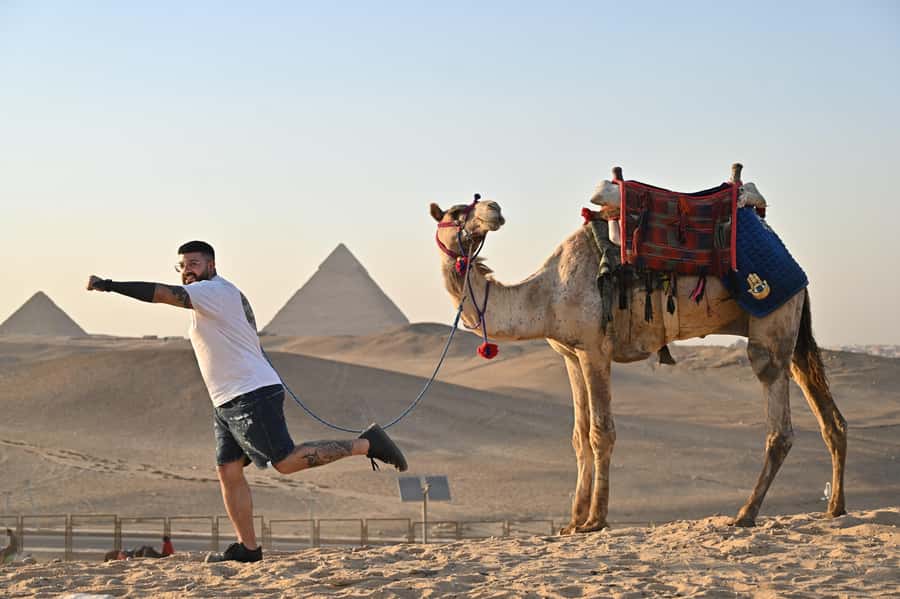 Cairo: Grand Egyptian Museum, Pyramids, Sphinx Tour & Lunch - Who Should Book This Tour (and Who Might Want a Different Plan)