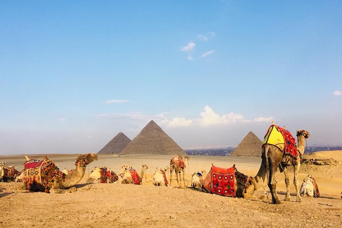 Cairo Sightseeing Tour (Giza Pyramids + Museum + Khan el Khalili Bazaar) - Who this tour is best for (and who should think twice)