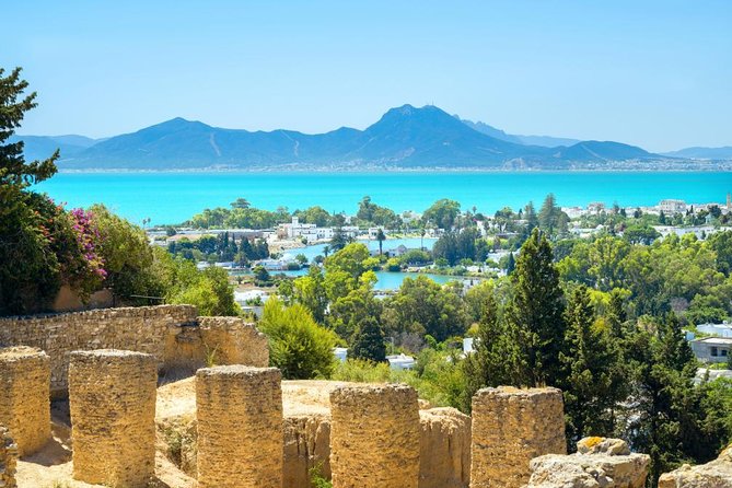 Carthage, Bardo Museum, Sidi Bou Said and Medina Private Day Tour - Quick hits before you go