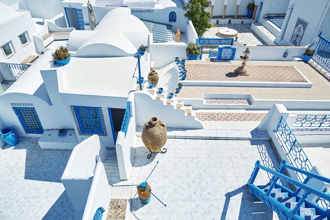 Carthage, Bardo Museum, Sidi Bou Said and Medina Private Day Tour - Aqueduct and Baths stops: short visits that add up