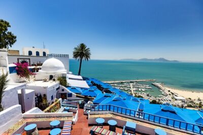 Carthage, Bardo Museum, Sidi Bou Said and Medina Private Day Tour - Sidi Bou Said in 1 hour: blue-and-white charm with coastal energy
