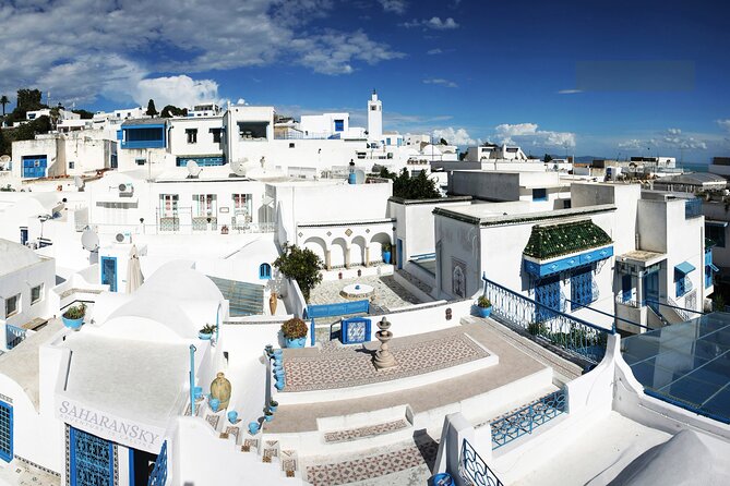 Carthage, Bardo Museum, Sidi Bou Said and Medina Private Day Tour - Tunis city gate to mosque: Bab el Bhar and Zitouna Mosque timing