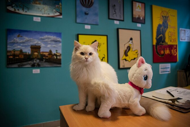 Cat Museum Budapest Entry Ticket - The Walk Between Art and Cats: how the museum pacing keeps things calm
