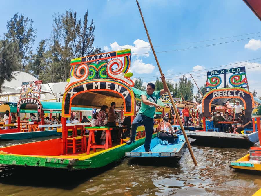 CDMX: Xochimilco, Coyoacan, Frida Kahlo Museum & Murals Tour - Coyoacán’s Cobblestones, Colonial Corners, and Artisan Stops