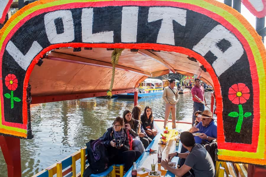 CDMX: Xochimilco, Coyoacan, Frida Kahlo Museum & Murals Tour - Price and Value: What $89 Really Buys You