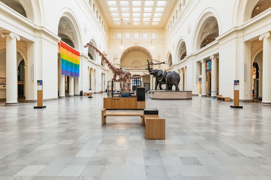 Chicago: Field Museum of Natural History Ticket or VIP Tour - Field Museum in one day: what this ticket really gets you
