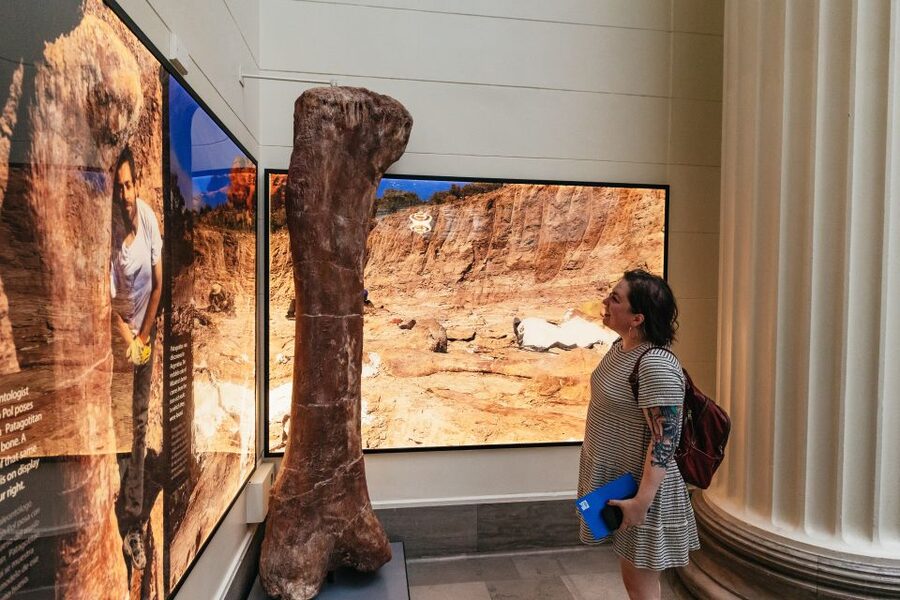 Chicago: Field Museum of Natural History Ticket or VIP Tour - Pacing the rest: how the museum keeps you moving