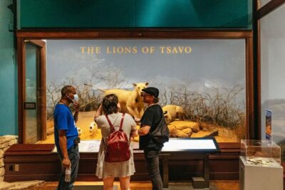 Chicago: Field Museum of Natural History Ticket or VIP Tour - Sue and Maximo: the dinosaur hour you’ll remember