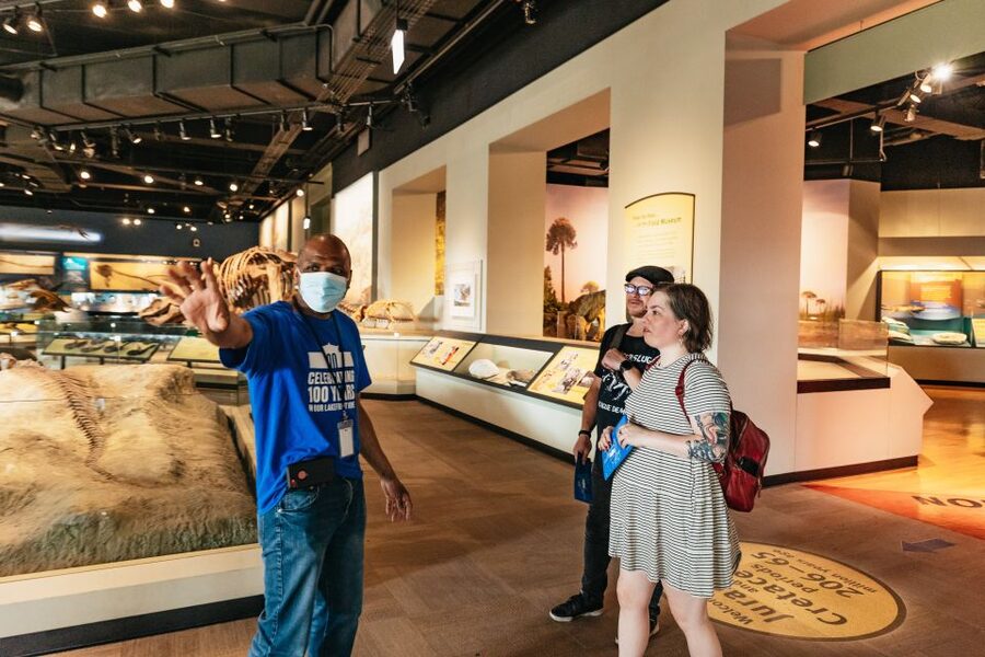Chicago: Field Museum of Natural History Ticket or VIP Tour - Ice Age hunters, Inca and Aztecs, and Ancient Americas context