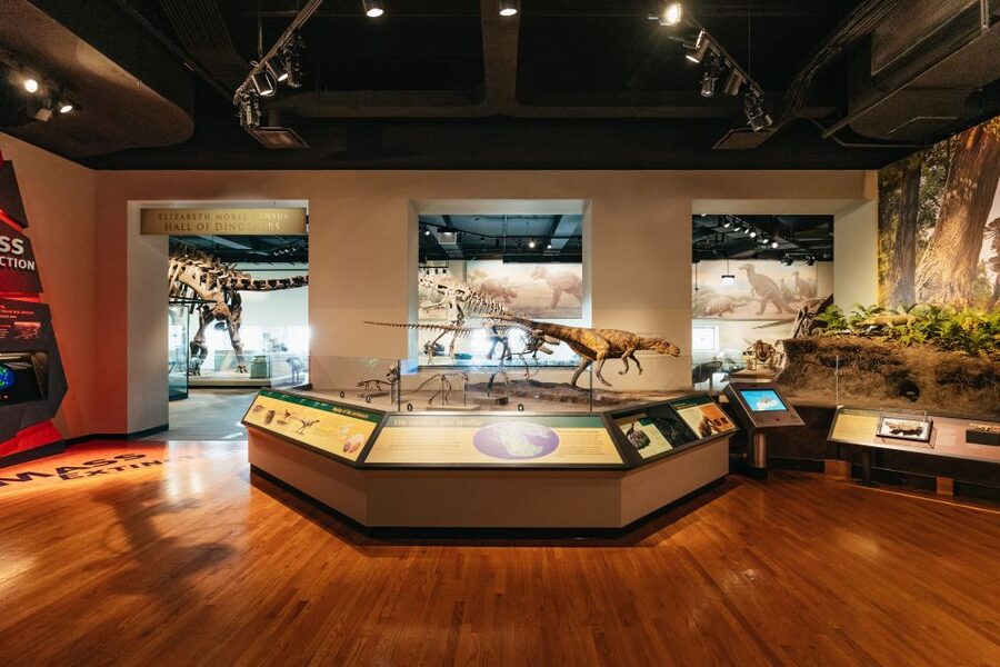 Chicago: Field Museum of Natural History Ticket or VIP Tour - Lions of Tsavo, the mastaba tomb complex, and other must-see surprises