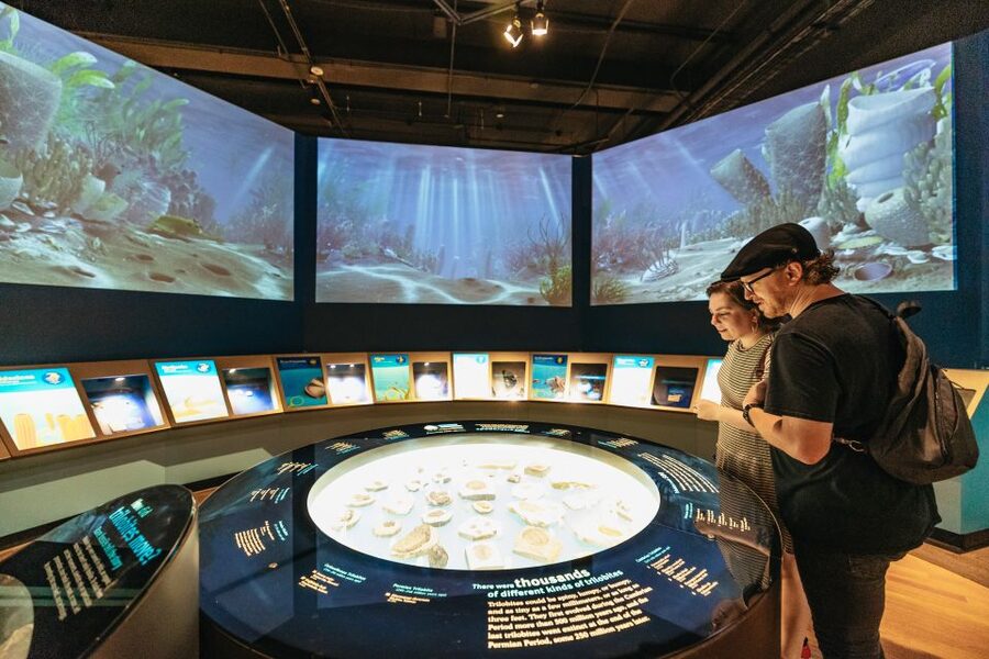 Chicago: Field Museum of Natural History Ticket or VIP Tour - Ticketed special exhibitions and the All-Access Pass reality check