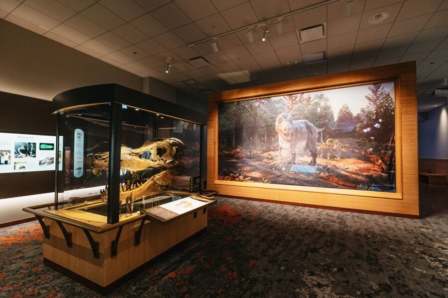 Chicago: Field Museum of Natural History Ticket or VIP Tour - A practical 1-day game plan (so you don’t burn your day)