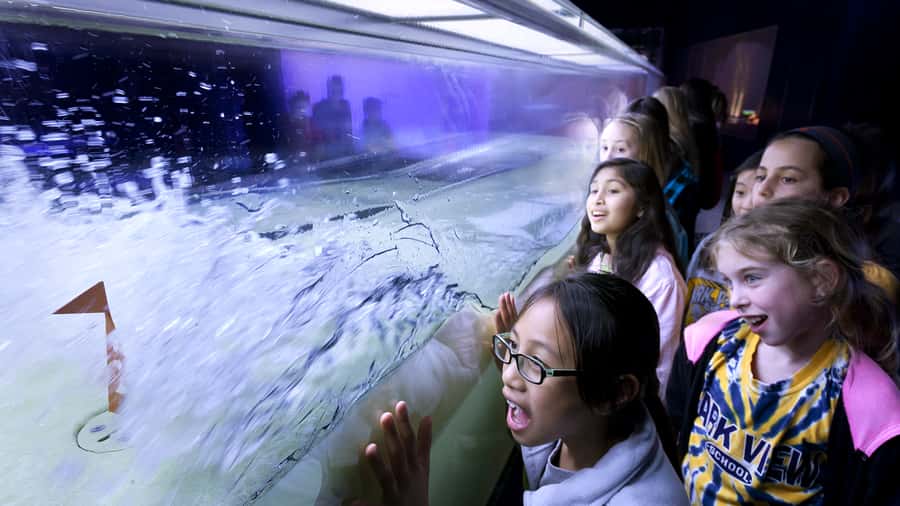 Chicago: Griffin Museum of Science and Industry Ticket - Key moments worth your time