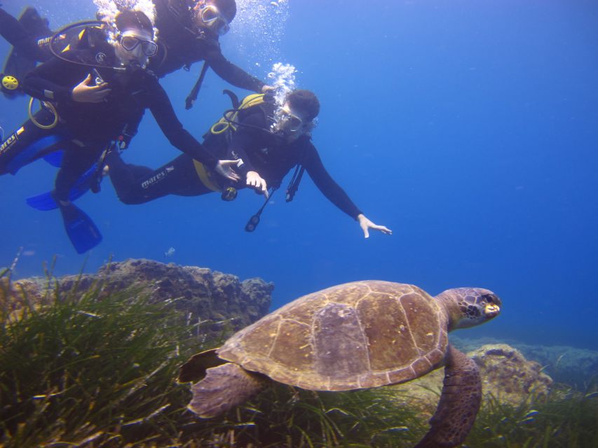 City of Side: Underwater Museum Scuba Diving Visit - My practical tips so you enjoy the day more