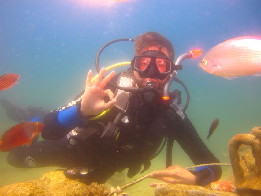 City of Side: Underwater Museum Scuba Diving Visit - The underwater museum itself: sculptures, sea life, and shallow-water comfort
