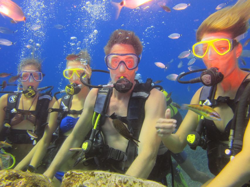City of Side: Underwater Museum Scuba Diving Visit - Who should book this, and who should skip it