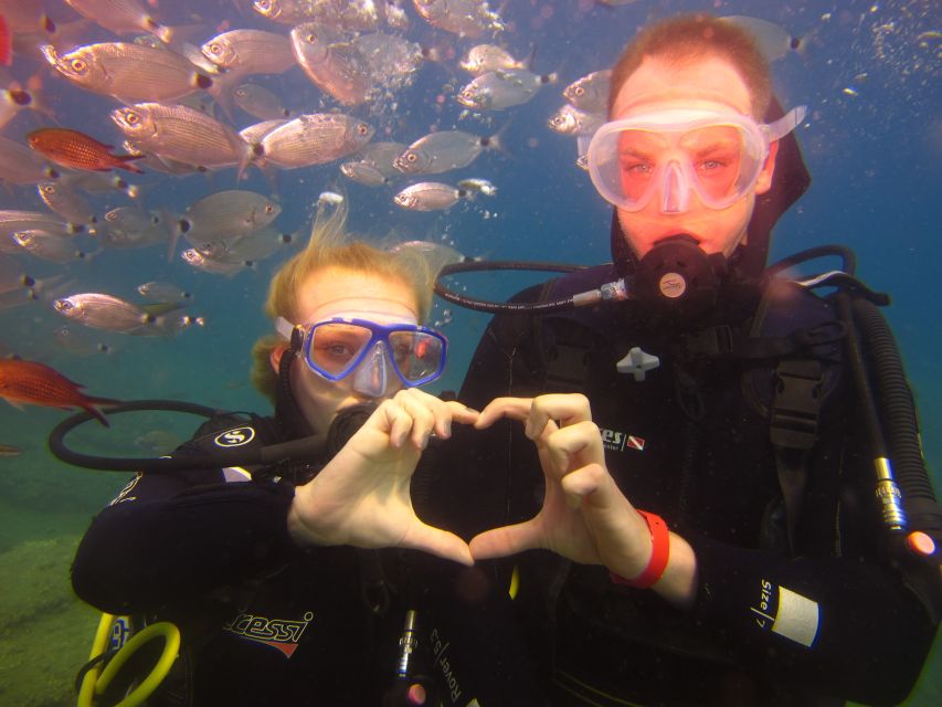 City of Side: Underwater Museum Scuba Diving Visit - Value check: worth $50 for a 7.5-hour day?