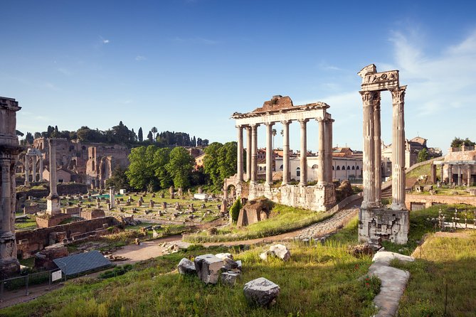 Colosseum, Roman Forum Experience and Vatican Museums - The Navona–Pantheon–Trevi English walking tour add-on