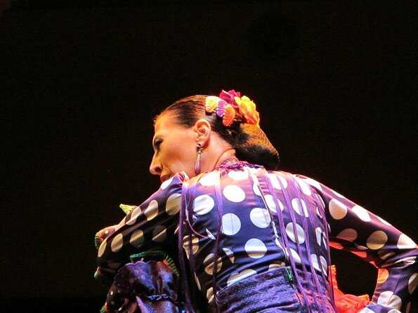 Combined ticket: Puro Flamenco Show + Flamenco Museum visit - Ticket Value: What $39.91 Gets You in Seville
