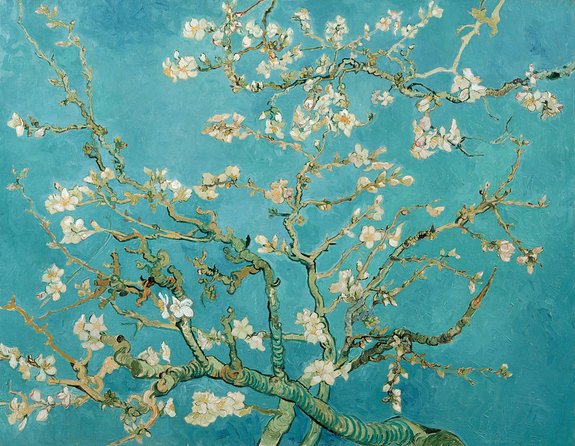 Combo Ticket: Van Gogh Museum Ticket and 1-Hour Canal Cruise - Self-guided pace: how to use your time well
