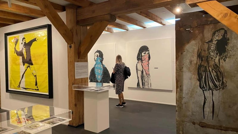Copenhagen: MACA Museum: Banksy & Street Art Entry Ticket - Key things I think you’ll care about