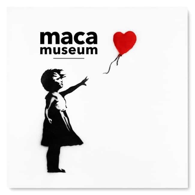 Copenhagen: MACA Museum: Banksy & Street Art Entry Ticket - MACA Museum in Nyhavn: why this ticket fits a great Copenhagen day