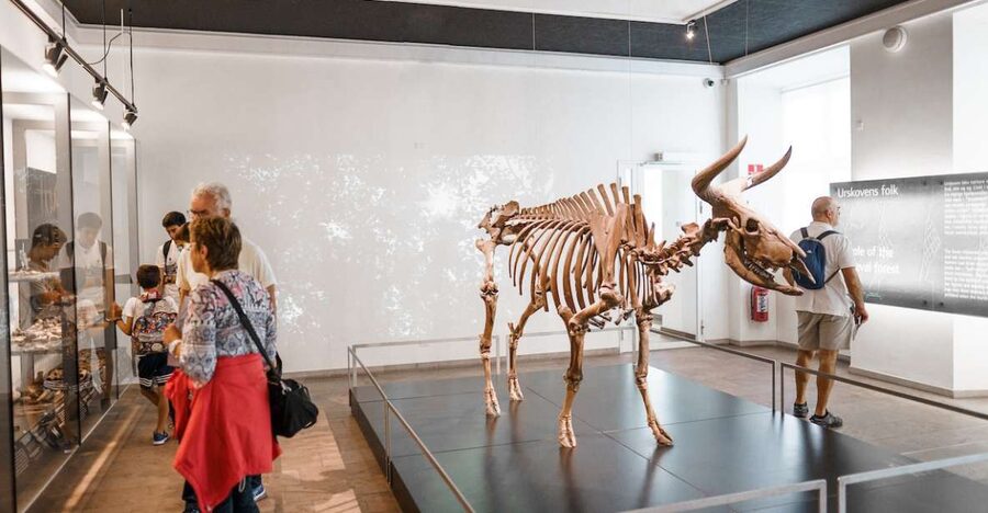 Copenhagen: National Museum of Denmark Entry Ticket - Beyond Vikings: Danish explorers and Denmark’s wider world