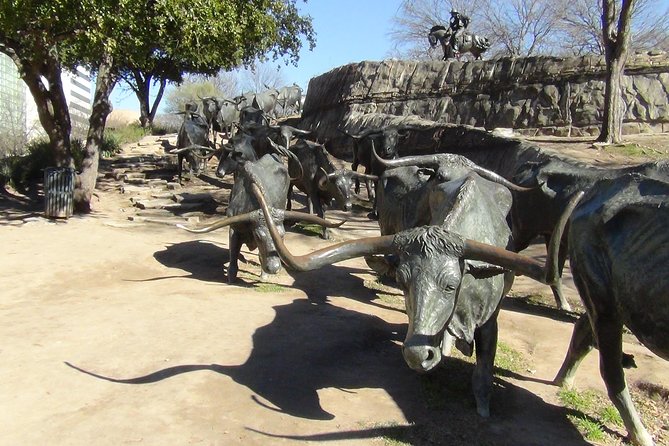 Dallas and JFK Full-Day Tour with Sixth Floor Museum and Oswald Rooming House - Who should book this Dallas and JFK full-day tour