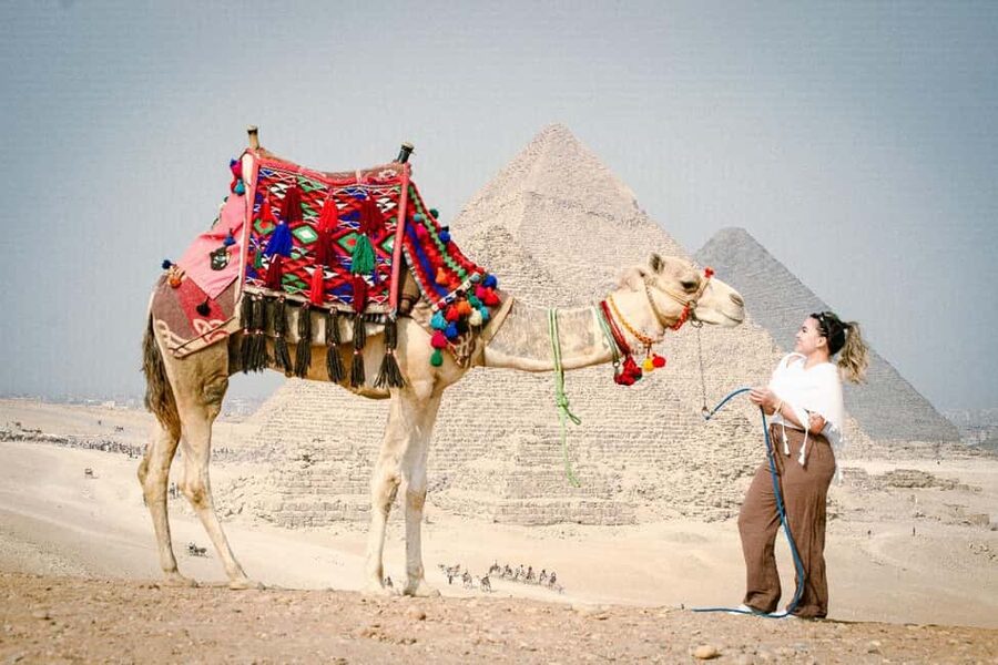 Discover Cairo: Pyramids, Museum & Sphinx Tour from Hurghada - Egyptian Museum timing: seeing the right things without getting lost