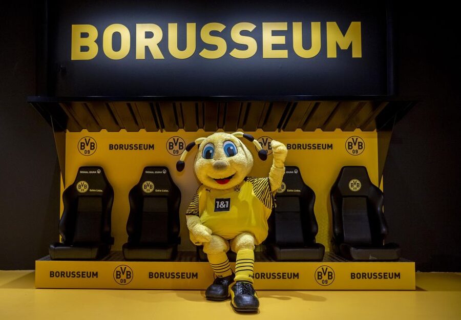 Dortmund: Borusseum Borussia Dortmund Museum Entry Ticket - BORUSSEUM in Dortmund: What You’re Actually Paying For